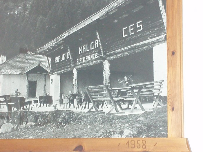 MALGA CES - San Martino di Castrozza (TN) 
